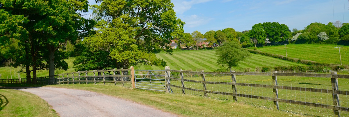 Walk to local village